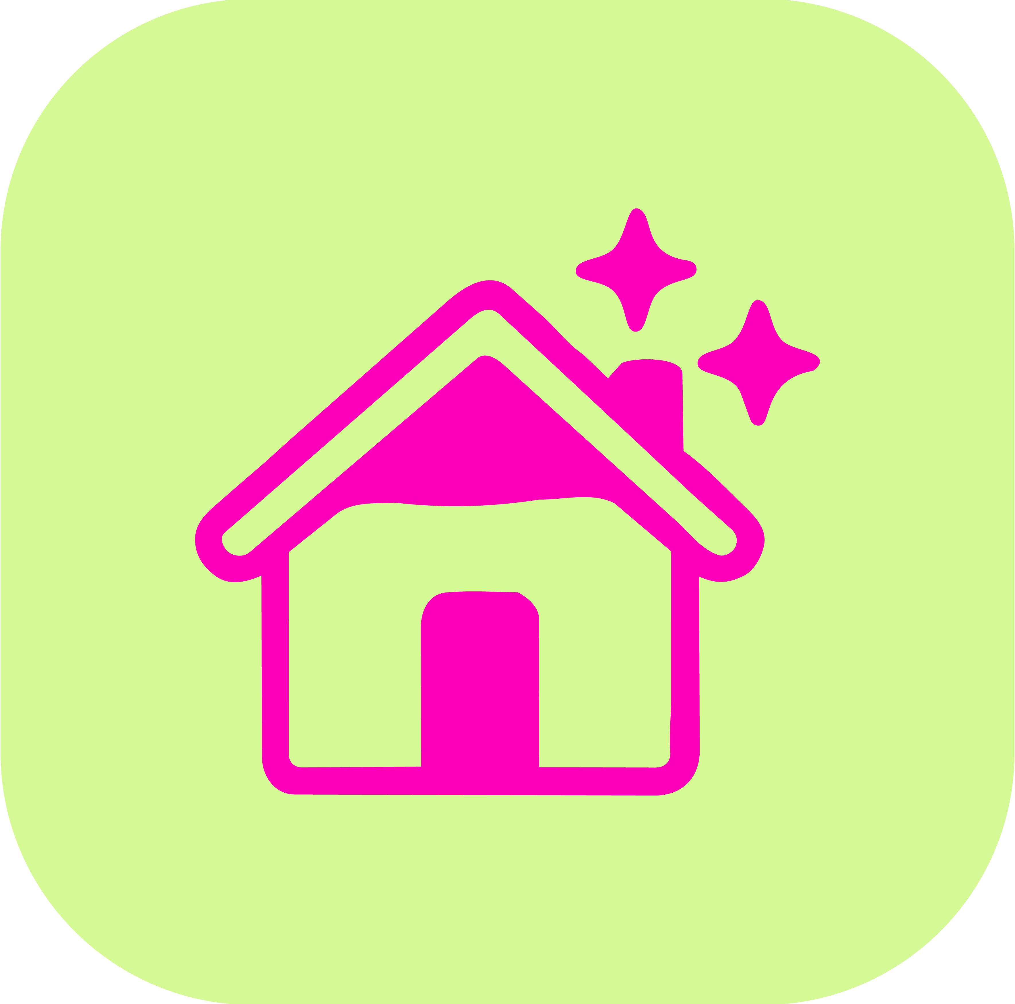Home Cleaning